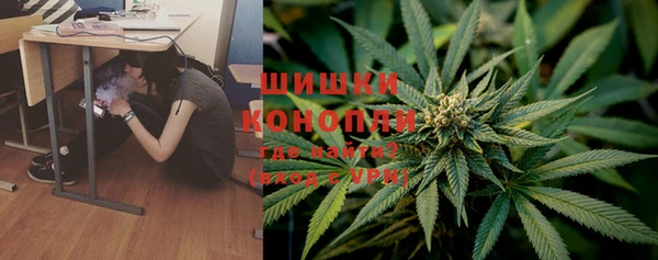 трава Ладушкин