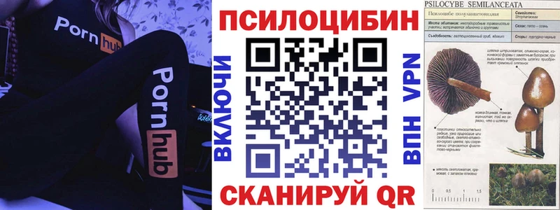 Галлюциногенные грибы мицелий  Купить где  Кудрово 